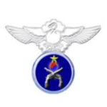 Air Police | 공군군사경찰단