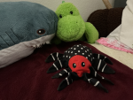the spider gr0up