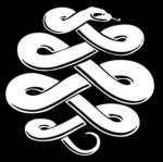 Salty Sea Snakes