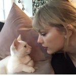 - addy (taylors version ) -