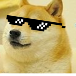 CO0L Doge Studios