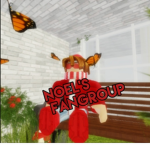 noel fan group