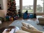 Santa and elves workshop and mrs clause