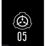 Scp private server roleplay group.