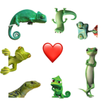 My little frogs <3