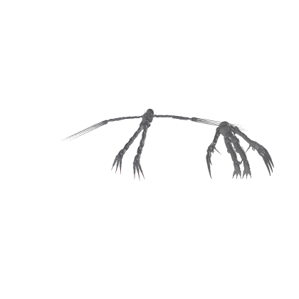 THE RAKE WITH ANIMATIONS AND SCRIPTS