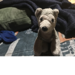 Join this group if you like small dogs