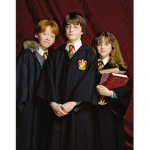 THE BIGGEST HARRY POTTER FAN CLUB IN THE WORLD