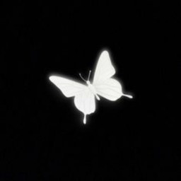-`-- 🦋 --`-