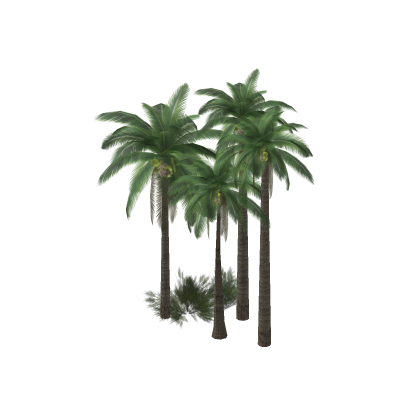 💖 Trees / Foliage - Tropical, Jungle, Island Tr
