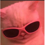 جبنههه シ