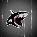 Sharks The Real Studios