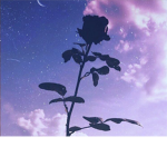 +.{Aesthetically Pleasing}.+