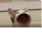 Pop cats and chicken nuggets