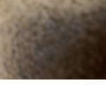 q t s _