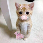 เพื่อนไม่รักไม่ต้องเข้า