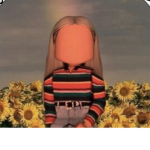 Daisy armyy