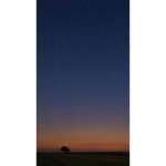 Night on a STARY NIGHT