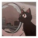 Kitty S.t.u.d.i.o.s