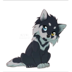 WolfProFanClub