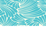 Seas shells