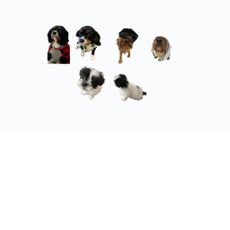 Run From My Dogs