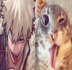 anime.softii