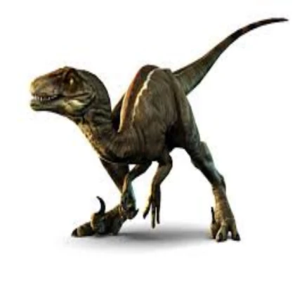Raptor