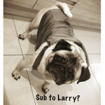 The Larry squad