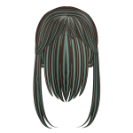 hair 123 (test)