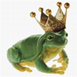 The Frog Kingdom