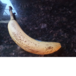 Bananas_forlife
