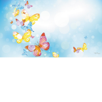 Beautiful Butterflies Shine