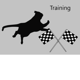 Cat Training 🐱