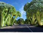 deеp