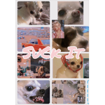-doggy’s only :p-