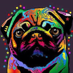 NeonPug