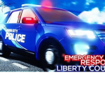 librty county vc