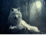 TheBlueWolfPack