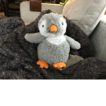 Cutie penguin