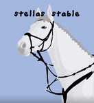 Stella’s stable!
