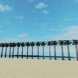 beach hangout