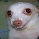amixiaki