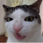 luhvhayley