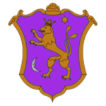 Temir Legion [Kypchak Khanate]