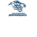 Chesapeake Bayhawks (MLL)