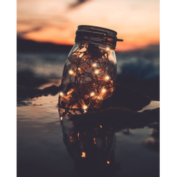 𝘄𝗵𝗶𝗹𝗲