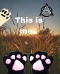 Nyaaaa !!!