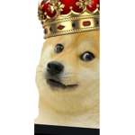 d0ge kingdom