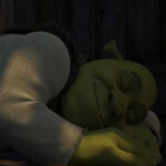 Sleep With Shrek 😴💤